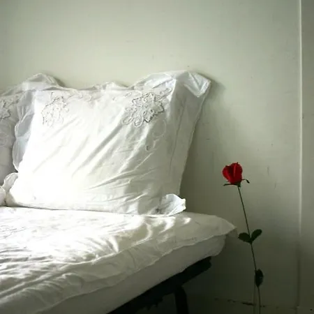 Beautysleep B&B 로테르담