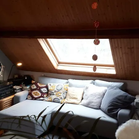 Beautysleep Bed & Breakfast Rotterdam